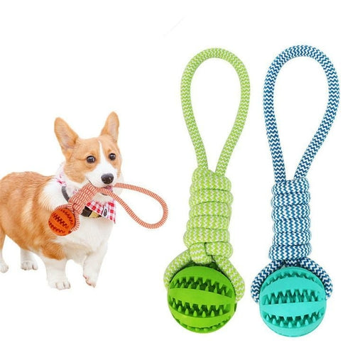 Pawora Durable Rubber Ball Chew Toy with Cotton Rope